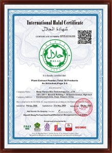 International Halal Certification