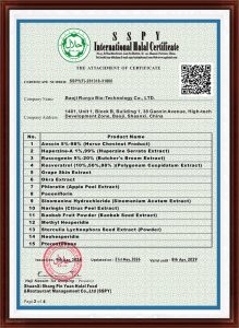 International Halal Certification