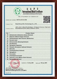 International Halal Certification